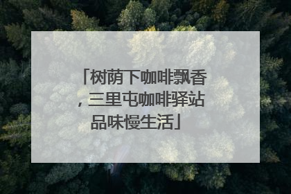 树荫下咖啡飘香，三里屯咖啡驿站品味慢生活