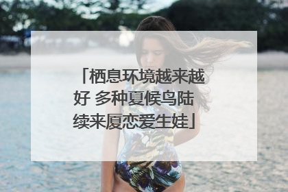 栖息环境越来越好 多种夏候鸟陆续来厦恋爱生娃