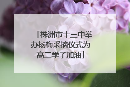 株洲市十三中举办杨梅采摘仪式为高三学子加油