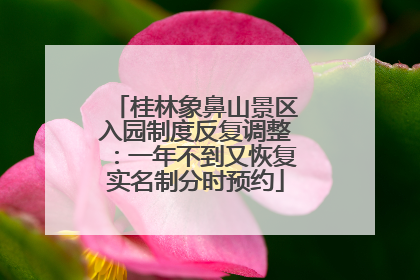 桂林象鼻山景区入园制度反复调整：一年不到又恢复实名制分时预约