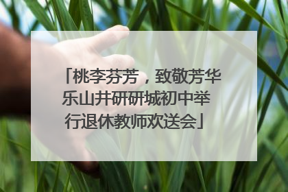 桃李芬芳，致敬芳华 乐山井研研城初中举行退休教师欢送会