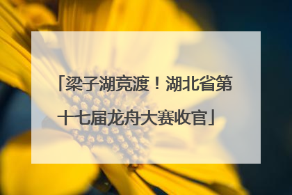 梁子湖竞渡！湖北省第十七届龙舟大赛收官