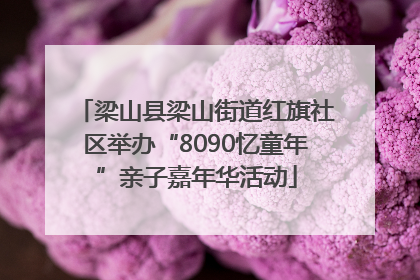 梁山县梁山街道红旗社区举办“8090忆童年”亲子嘉年华活动