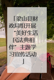 梁山县财政局组开展“美好生活 民法典相伴”主题学习宣传活动