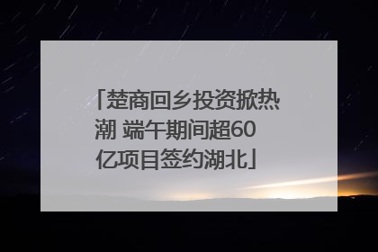 楚商回乡投资掀热潮 端午期间超60亿项目签约湖北