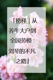 榜样｜从养牛大户到全国劳模：刘琴的不凡之路