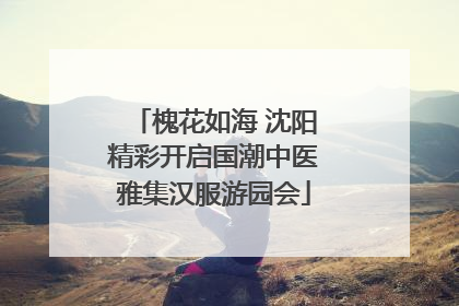 槐花如海 沈阳精彩开启国潮中医雅集汉服游园会
