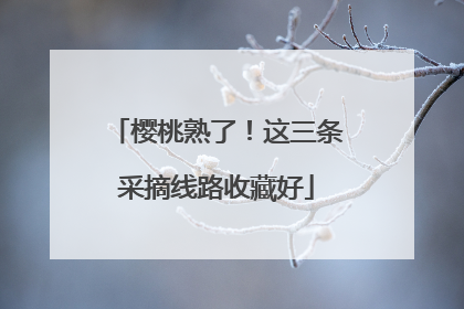 樱桃熟了！这三条采摘线路收藏好