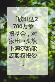 欣旺达2700万参投基金，对家电巨头旗下海尔新能源股权投资