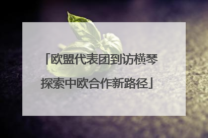 欧盟代表团到访横琴 探索中欧合作新路径