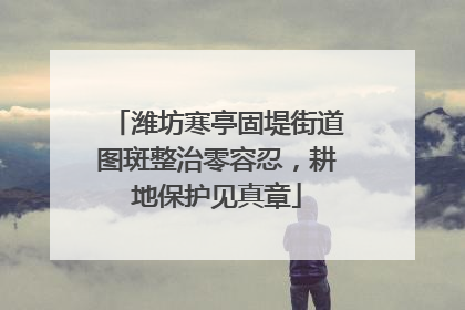 潍坊寒亭固堤街道图斑整治零容忍，耕地保护见真章