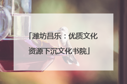 潍坊昌乐：优质文化资源下沉文化书院