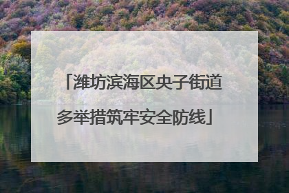 潍坊滨海区央子街道多举措筑牢安全防线