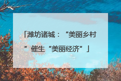 潍坊诸城：“美丽乡村”催生“美丽经济”