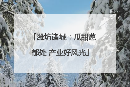 潍坊诸城：瓜甜葱郁处 产业好风光