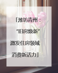 潍坊青州：“旧房焕新”激发住房领域消费新活力