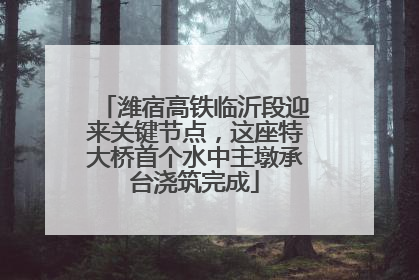 潍宿高铁临沂段迎来关键节点，这座特大桥首个水中主墩承台浇筑完成