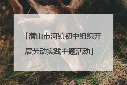 潜山市河镇初中组织开展劳动实践主题活动