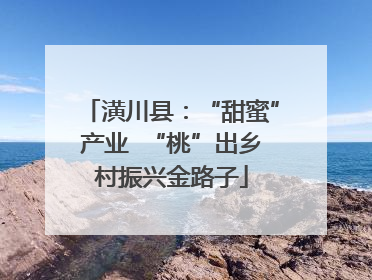潢川县：“甜蜜”产业  “桃”出乡村振兴金路子