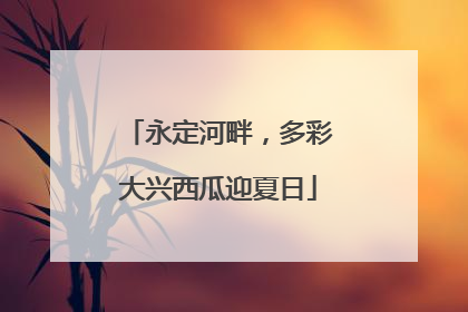 永定河畔，多彩大兴西瓜迎夏日