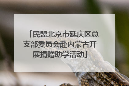 民盟北京市延庆区总支部委员会赴内蒙古开展捐赠助学活动