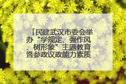 民建武汉市委会举办“学规定、强作风、树形象”主题教育暨参政议政能力素质提升培训班