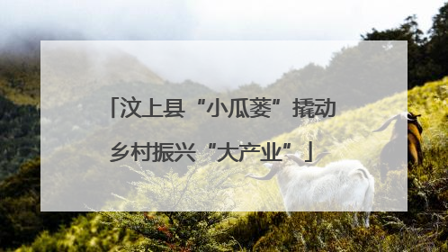 汶上县“小瓜蒌”撬动乡村振兴“大产业”