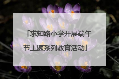 求知路小学开展端午节主题系列教育活动