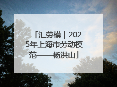 汇劳模｜2025年上海市劳动模范——杨洪山