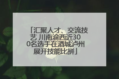 汇聚人才、交流技艺 川南渝西近300名选手在酒城泸州展开技能比拼