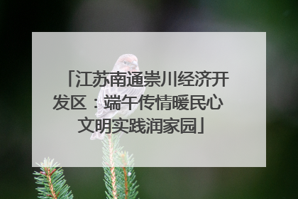 江苏南通崇川经济开发区：端午传情暖民心 文明实践润家园