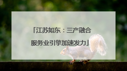 江苏如东：三产融合 服务业引擎加速发力
