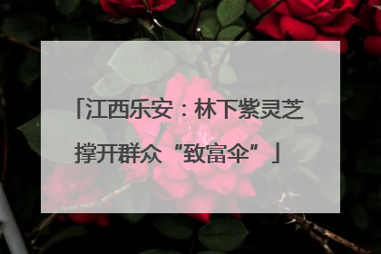 江西乐安：林下紫灵芝撑开群众“致富伞”