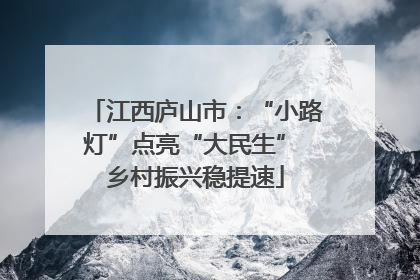 江西庐山市：“小路灯”点亮“大民生” 乡村振兴稳提速