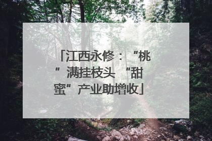 江西永修：“桃”满挂枝头 “甜蜜”产业助增收