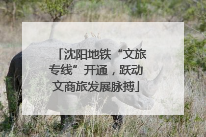 沈阳地铁“文旅专线”开通，跃动文商旅发展脉搏