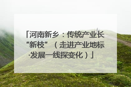 河南新乡：传统产业长“新枝”（走进产业地标·发展一线探变化）