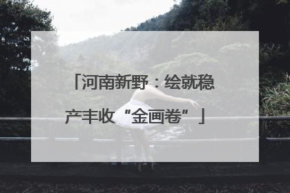 河南新野：绘就稳产丰收“金画卷”