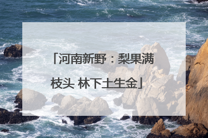 河南新野：梨果满枝头 林下土生金