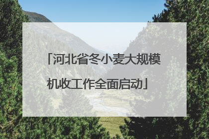 河北省冬小麦大规模机收工作全面启动