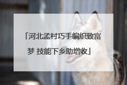 河北孟村巧手编织致富梦 技能下乡助增收