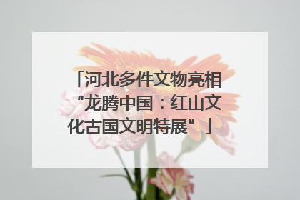 河北多件文物亮相“龙腾中国：红山文化古国文明特展”