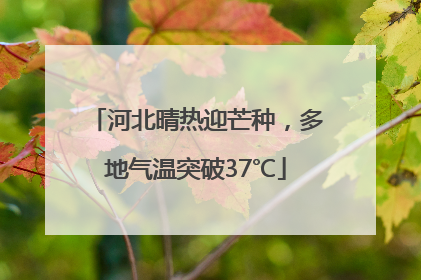 河北晴热迎芒种，多地气温突破37℃
