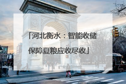 河北衡水：智能收储保障夏粮应收尽收