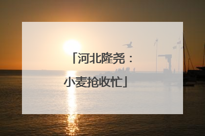 河北隆尧：小麦抢收忙