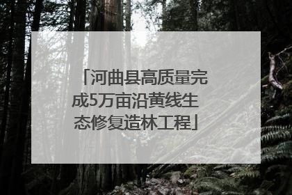 河曲县高质量完成5万亩沿黄线生态修复造林工程