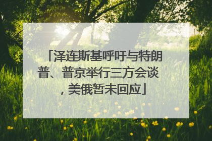 泽连斯基呼吁与特朗普、普京举行三方会谈，美俄暂未回应