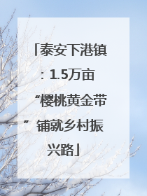 泰安下港镇：1.5万亩“樱桃黄金带”铺就乡村振兴路