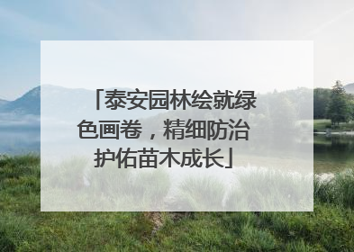 泰安园林绘就绿色画卷，精细防治护佑苗木成长