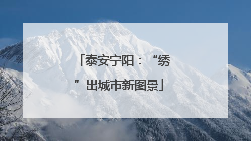 泰安宁阳：“绣”出城市新图景